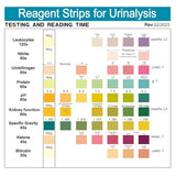 URS 9-in-1 Urine Test Strips 9 Parameters Testing UTI, Protein/Leukocytes/Nitrite/pH, 100 CT