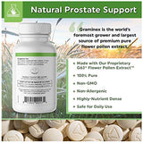 Graminex PollenAid Prostate Supplement: All Natural Prostate Support for Bladder Control & Urinary Tract Health, Rye Pollen Extract Made in USA, 200 Tablets