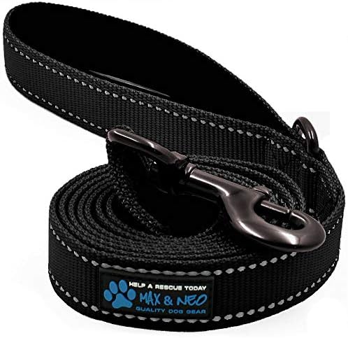 Max and Neo Small Dog Reflective Nylon Dog Leash - We Donate a Leash to a Dog Rescue for Every Leash Sold (Black, 6x5/8)