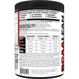 EVL BCAA Lean Energy Powder - Pre Workout Green Tea Fat Burner Support with BCAAs Amino Acids and Clean Energizers - BCAA Powder Post Workout Recovery Drink for Lean Muscle Recovery - Fruit Punch