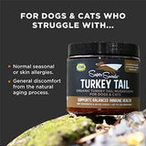 Super Snouts Turkey Tail Mushroom Supplement Powder for Dogs & Cats (5.29 oz) - Organic, Made in USA Antioxidant & Inflammation Support, Immune Support