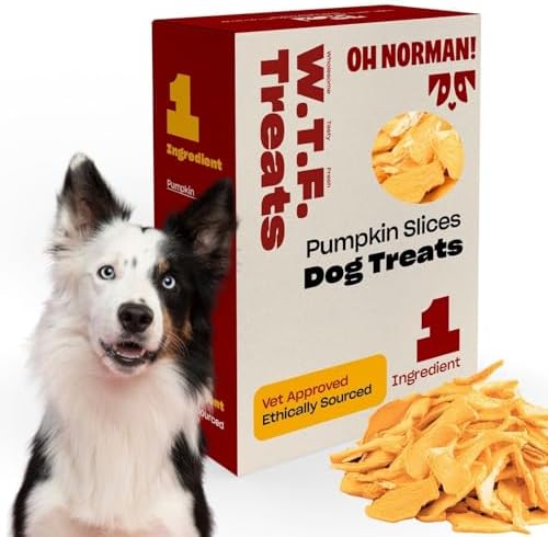 Single Ingredient Pumpkin Dog Treats by Kaley Cuoco, Healthy Dog Treats for All Life Stages and Breeds, Air Dried, Ethically Sourced in Canada, 6 Oz