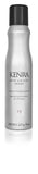 Kenra Root Lifting Spray 13 | Volumizing Foam | All Hair Types | 8 oz