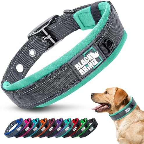 Black Rhino Dog Collar for Large Dogs - Adjustable Reflective Heavy Duty Collar with Ultra-Soft Neoprene Padding - Weatherproof, Durable, and Comfortable - Ideal for Active Dogs - Aqua and Gray