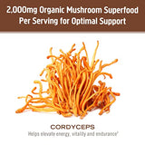 Om Mushroom Superfood Cordyceps Organic Mushroom Powder, 7.05 Ounce Pouch, 100 Servings, Energy, Power, Stamina and Endurance Support, Superfood Supplement for Sports Performance