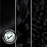 Garnier Hair Color Nutrisse Nourishing Creme, 11 Blackest Black (Peppercorn) Permanent Hair Dye, 2 Count (Packaging May Vary)