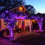 kemooie 500 LED Purple Halloween Lights, 164FT 8 Twinkle Modes Plug in Lights, Waterproof Extra Long String Lights for Outdoor Indoor Tree Wedding Party Garden Halloween Christmas Decorations (Purple)