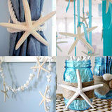 QEQEKAKA® 20 PCS Starfish for Crafts 2" to 4" Natural Starfish Decor Bulk, for Wedding Beach Theme Decor Home DIY Crafts Decor Christmas Tree Starfish Ornaments