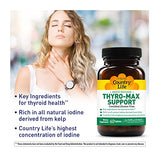 Country Life Thyro-Max Support, Rapid Release, Key Ingredients for Thyroid Health, 60 Tablets, Certified Gluten Free, Certified Vegan