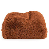 Bedsure Soft Burnt Orange Twin Blanket for Bed, Fluffy Fuzzy Blankets Twin Size for Couch, Sofa, Cozy Plush Sherpa Fleece Faux Fur Blanket, Thick Warm Christmas Blanket Gifts for Women, Men, 60x80