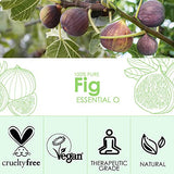 Fig Essential Oil 4 Fl Oz (120ml) - Pure and Natural Fig Fragrance Oil, Fig Oil for Aromatherapy, Diffusers, Candle Making, Soap