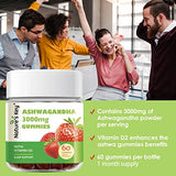 Nature's Key Ashwagandha Gummies, 3000mg High Potency Ashwagandha Root Extract with Vitamin D2, Stress, Calm Mood & Cognition, for Men & Women, Strawberry Flavor (60 Count (Pack of 1)