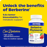 Enzymedica, Berberine Phytosome, 9.6X Better Bioavailability, High Potency Natural Vegan Dietary Supplement for Metabolic Support, 60 Capsules