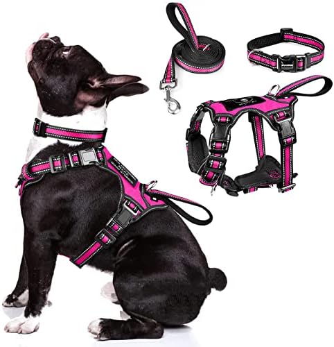 WINSEE Pet Harness Collar and Leash Set, All-in-one Reflective Dog Harness No Pull with Adjustable Buckles for Puppies, Small, Medium, Large, and Extra-Large Dogs (Medium, Rosy)