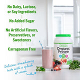 Orgain Organic Vegan Protein Powder, Strawberries & Cream - 21g Plant Based Protein, 4g Prebiotic Fiber, Low Net Carb, No Lactose Ingredients, No Added Sugar, Non-GMO, For Shakes & Smoothies, 2.03 lb