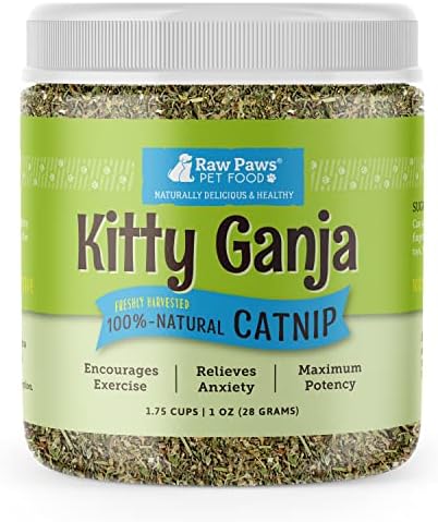 Raw Paws Fresh Catnip for Cats, 1-oz (2 Cups) - Use for Refillable Catnip Toys for Cats - Natural Dried Cat Nip