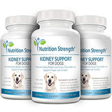 Nutrition Strength Kidney Support for Dogs - Renal, Bladder and Urinary Tract Health Supplement, Plus Immune and Digestive Support, with Organic Cranberry and Astragalus, 120 Chewable Tablets