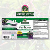 Nature's Answer Alcohol-Free Sambucus Dietary Supplement 16oz Liquid | Daily Immune and Antioxidant Support | Made in The USA | Gluten-Free & Vegan | Single Count