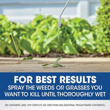 Roundup Weed & Grass Killer₄ with Comfort Wand, Use in and Around Flower Beds, Trees, and Driveways, 1 gal.