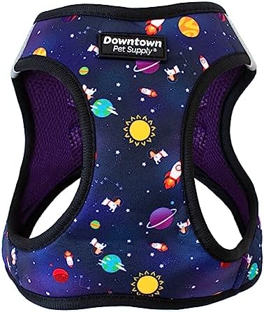 Downtown Pet Supply Step in Dog Harness for Small Dogs No Pull, Small, Space - Adjustable Harness with Padded Mesh Fabric and Reflective Trim - Buckle Strap Harness for Dogs