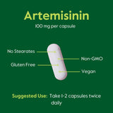 BESTVITE Artemisinin 100mg (120 Vegetarian Capsules) - No Stearates - No Flow Agents