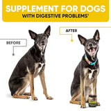 Probiotics for Dogs - Support Gut Health, Itchy Skin, Allergies, Yeast Balance, Immunity - Dog Probiotics and Digestive Enzymes for Small, Medium and Large Dogs - 180 Probiotic Chews for Dogs, Duck