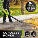 Mueller UltraStorm Cordless Leaf Blower, 130 MPH 20 V Powerful Motor, Electric Leaf Blower for Lawn Care, Battery Powered Leaf Blower for Snow Blowing High Capacity Battery & Charger Green