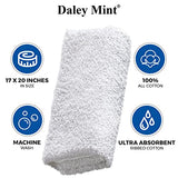 Daley Mint Towel + Windex Glass and Window Cleaner Bundle | Windex Original No Scent Spray Bottle, 23oz + Windex Refill, 67.6oz | Home Window & Glass Cleaners Kit (90.6oz Total)