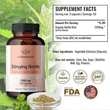 HERBAMAMA Stinging Nettle Root Capsules - Organic Stinging Nettle Root Powder Pills - Urtica Dioica Herbal Supplement - 100 Vegan Caps