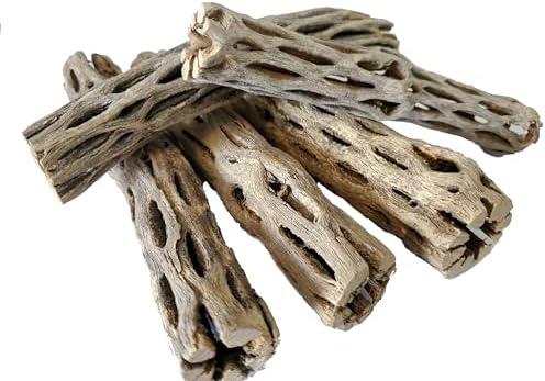 Natural Cholla Wood for Aquarium Decoration Shrimp and Fish Tank (6 Inch (5 Pack))