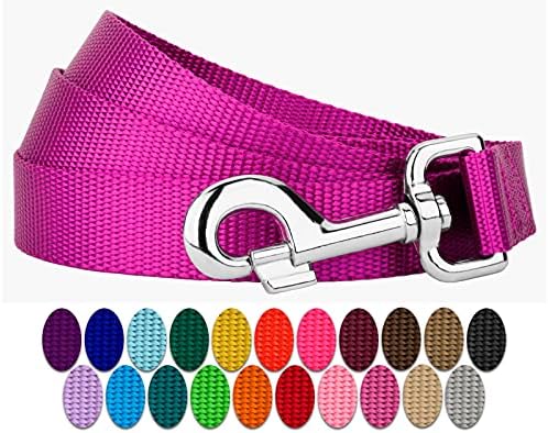 Country Brook Petz 1" Wide Heavy-Duty Nylon Leash for Dogs - Traditional Style Durable Leash with Easy-to-Use Snap - Made in The USA, Fuchsia, 4 Foot