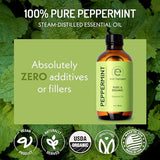 Eve Hansen USDA Certified Organic Peppermint Essential Oil | Huge 4 oz Mentha PIPERITA Essential Oil for Aromatherapy | Aromatherapy Oil for Diffuser and Pure Essential Oil for Home Use