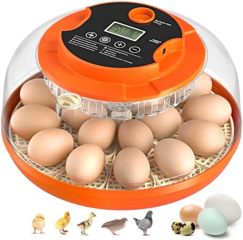 18 Egg Incubator with Automatic Egg Turning and Humidity Control, 360° View Incubators for Hatching Eggs, Incubator for Chicken Eggs, Ducks, Goose, Pigeon, Quail, Parrot Eggs (Orange)