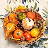 winemana 50pcs Fall Pumpkins Decor Set, Mini Artificial Gourd Fall Leaves Acorns Decorations for Home, Fall Centerpieces for Tables, Thanksgiving Vase Filler, Harvest Farmhouse Table Tiered Tray Set