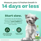 TropiClean Fresh Breath Water Additive | Dog Oral Care Water Additive for Dog Breath and Dental Health | VOHC Certified | Made in The USA | 16 Ounce | Pack of 3