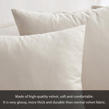 MIULEE Pack of 2 Velvet Soft Solid Decorative Square Throw Pillow Covers Set Christmas Cushion Cases Pillowcases for Spring Couch Sofa Bedroom Car 18x18 inch 45x45cm