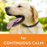 ThunderEase Calming Anti Anxiety Pheromone Collar for Dogs (Small)