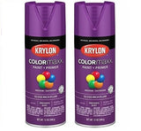 KRYLON K05536007 COLORmaxx Spray Paint and Primer for Indoor/Outdoor Use, Gloss Rich Plum, 12 Ounce (Pack of 2)