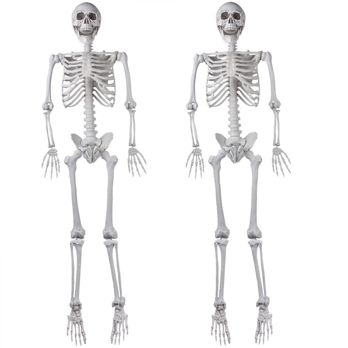 2Packs 5.4ft Halloween Human Skeletons Life Size Full Body Bones with Movable Joints for Halloween Props Spooky Party Decoration