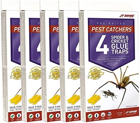 J T Eaton Spider and Cricket Glue Trap (Pack of 5)
