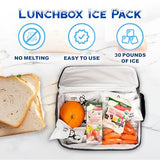 Ice Pack Bulk 12-600-Dry Ice for Shipping Frozen Food-Lunch Box Ice Packs-Slim Size 15x12in/5x3in Cells-Reusable ice packs-Freezer packs-Ice packs shipping-Dry ice packs for shipping-120 Pack-Luna Ice