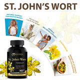 St Johns Wort 900mg-Mood Support Supplement*-Calm Supplements*-120 Vegetable St Johns Wort Capsules(2 Month Supply),450mg of Vegan, Non-GMO St. John's Wort (Hypericum Perforatum),0.3%Hypericin per Cap