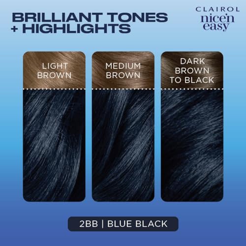 Clairol Nice'n Easy Permanent Hair Dye, 2BB Blue Black Hair Color, Pack of 3