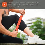 Tiger Tail The Spinnie Roller: 17in Handheld, Portable Massage Roller Stick, Body Massager and Myofascial Release Tool