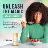 Biolore Sea Moss Gel Pineapple 16Oz - Made in USA Supercharge Your Health with Raw Wildcrafted Irish Seamoss - Essential Vitamins & Minerals - Antioxidant-Rich Vegan Superfood for Immune Support