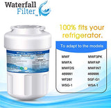 Waterfall Filter - Refrigerator Water Filter Compatible with GE MWF SmartWater Water Filter Cartridge