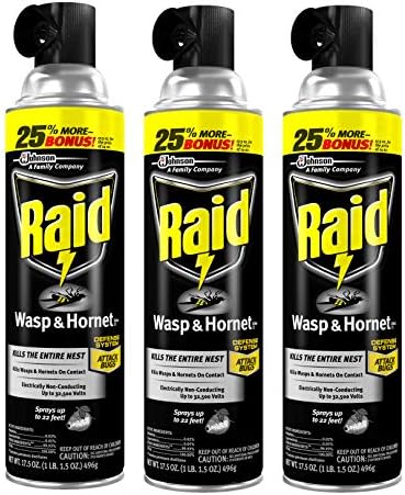 Raid Wasp and Hornet Killer, 17.5 OZ (Pack of 3)