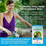 Probonix Probiotics for Adults, 30-Day Supply, Organic, Non-GMO Liquid Probiotic Drops, 12 Live Strains, Lactobacillus Acidophilus, Helps with Gas, IBS, Lactose Intolerance, and More - Grape