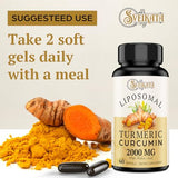 Liposomal Turmeric Curcumin Supplement 2000mg, 95% Standardized Curcuminoid Extract & Organic Root Powder with Piperine Black Pepper Fruit (15mg), 60 softgels, Non-GMO