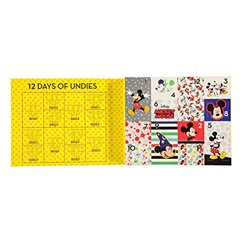 Disney Boys Mickey Mouse 12pk Of In Advent Box, Surprise Underwear For Potty Training Fun With Stickers & Chart Briefs, 12-pack, 2-3T US